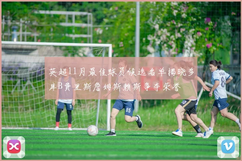 英超11月最佳球员候选名单揭晓多库B费里斯詹姆斯赖斯争夺荣誉