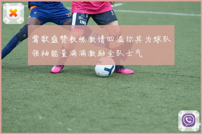 莺歌盛赞教练激情四溢称其为球队领袖能量满满激励全队士气