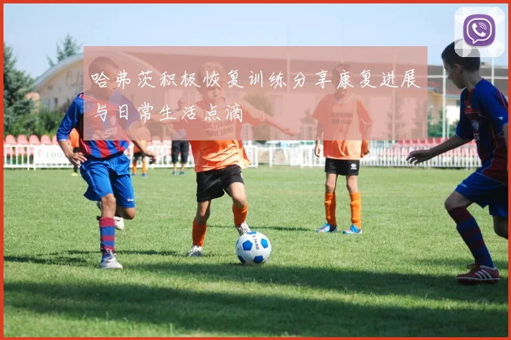 哈弗茨积极恢复训练分享康复进展与日常生活点滴